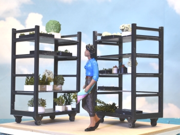 Plantwagon 2 pieces  G